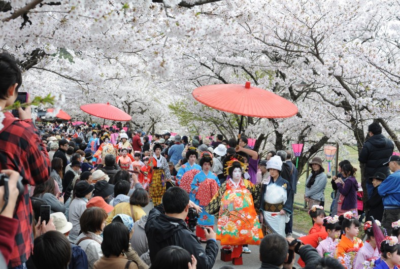 おいらん道中in桜祭り
